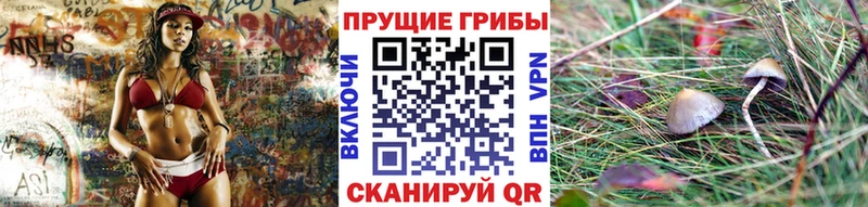 Псилоцибиновые грибы Psilocybine cubensis  наркошоп  kraken как войти  Спасск-Дальний 